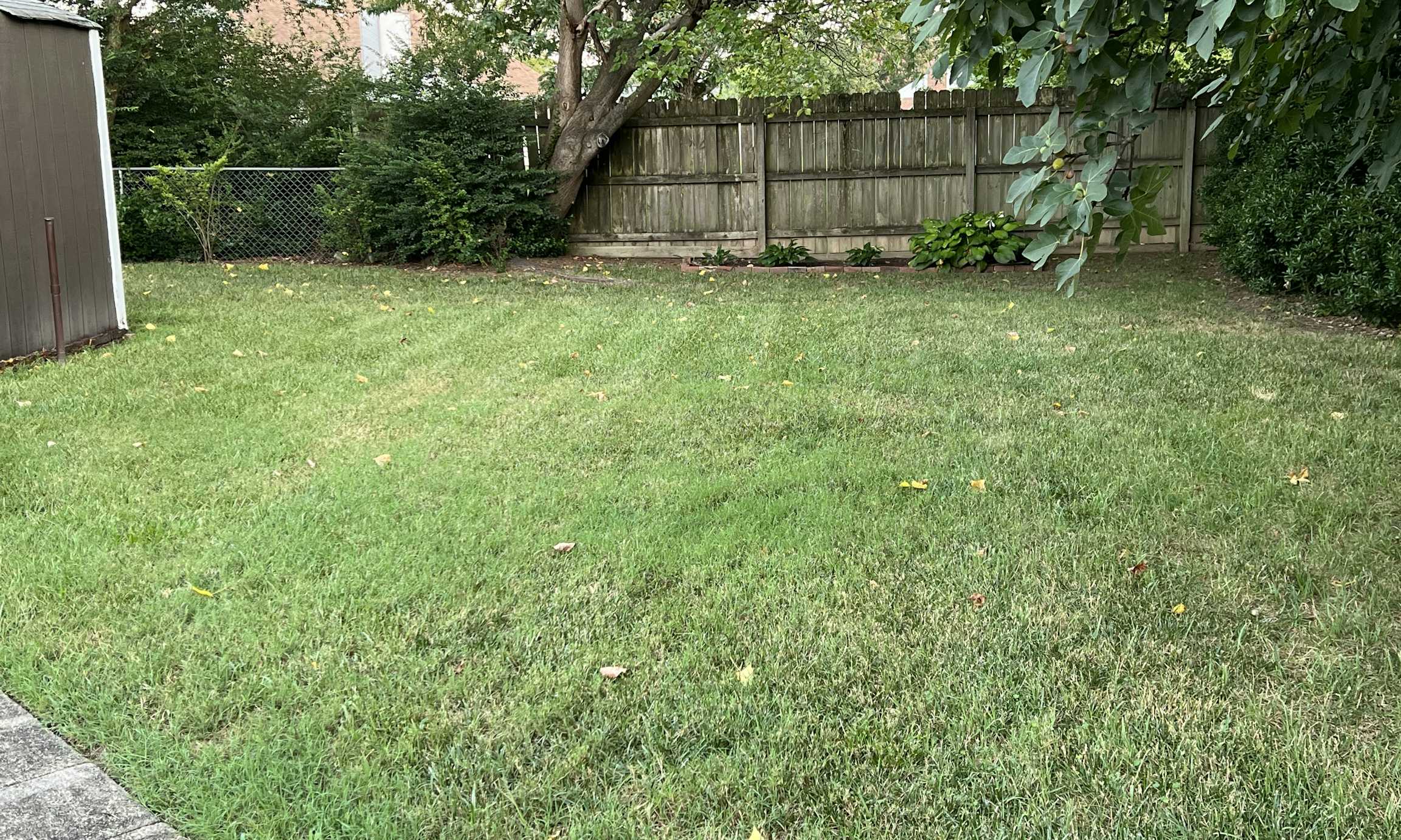 Listing photo-5