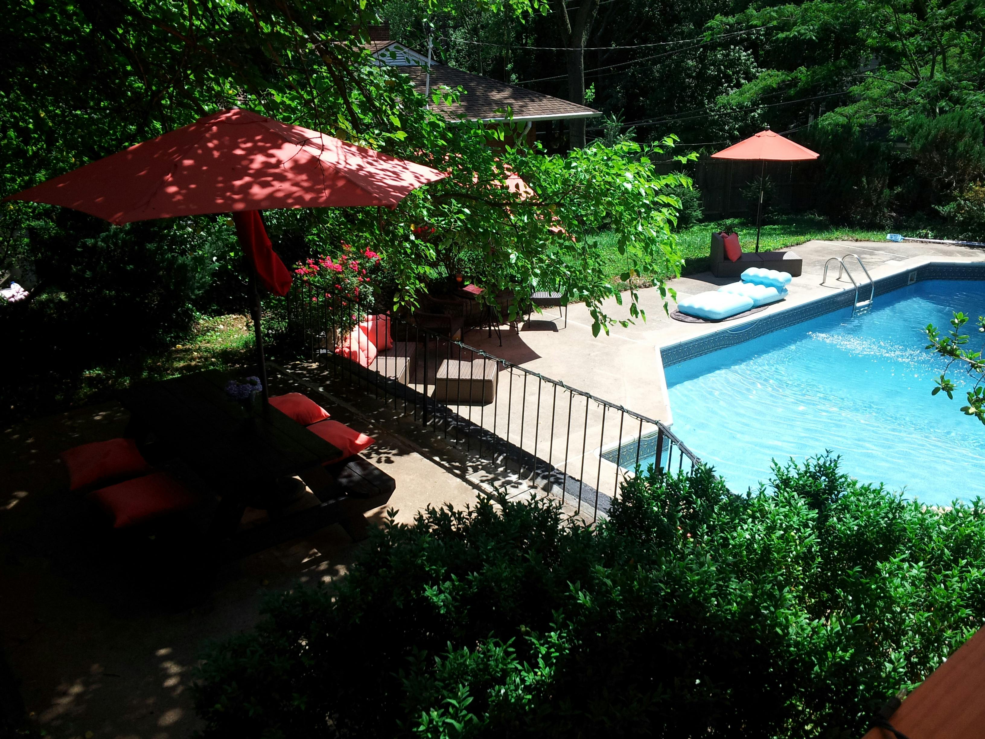 ROMANTIC OASIS in DC's POLITICAL JUNGLE*** Pool tours on YT channel