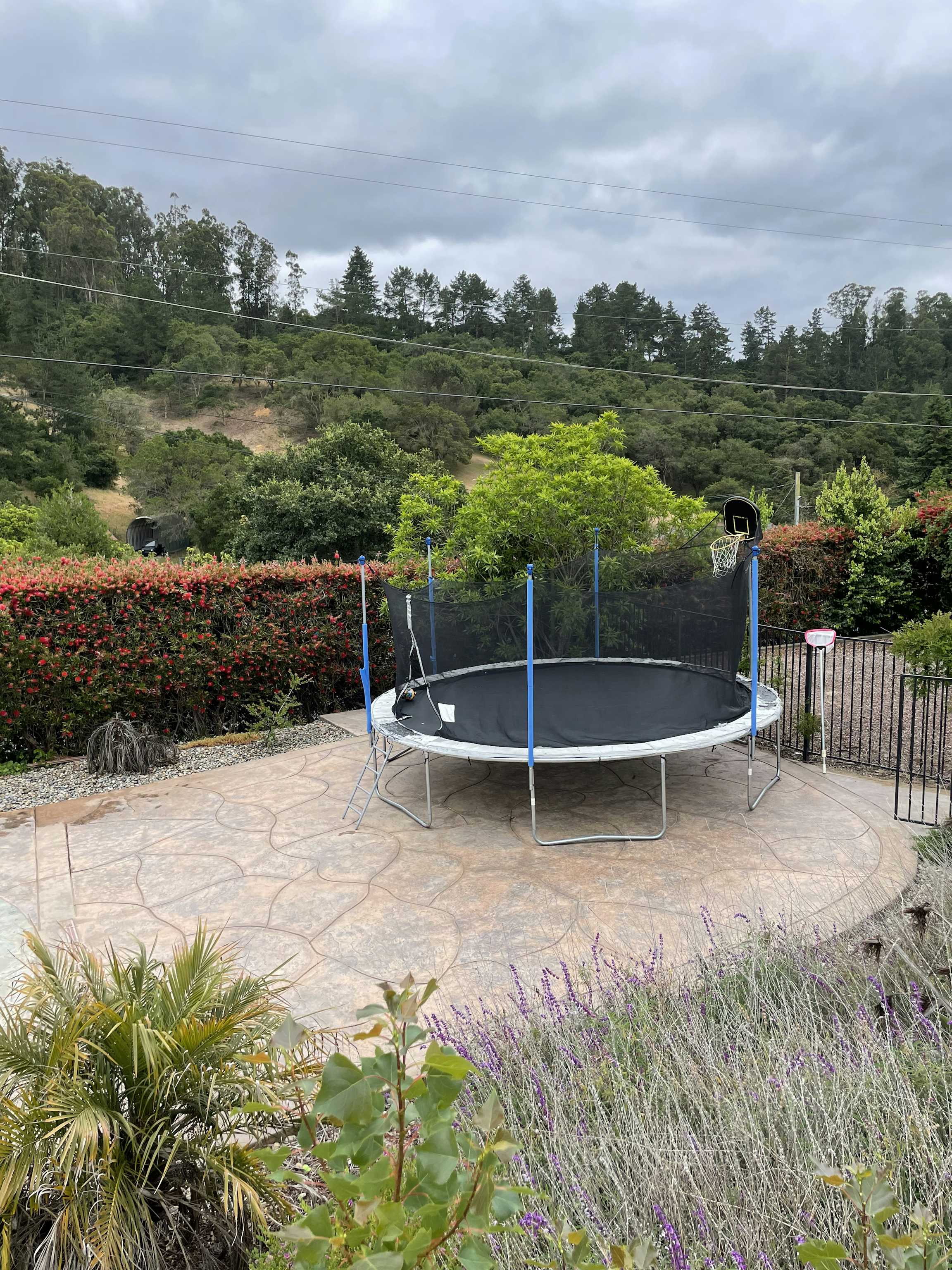 Listing photo-5