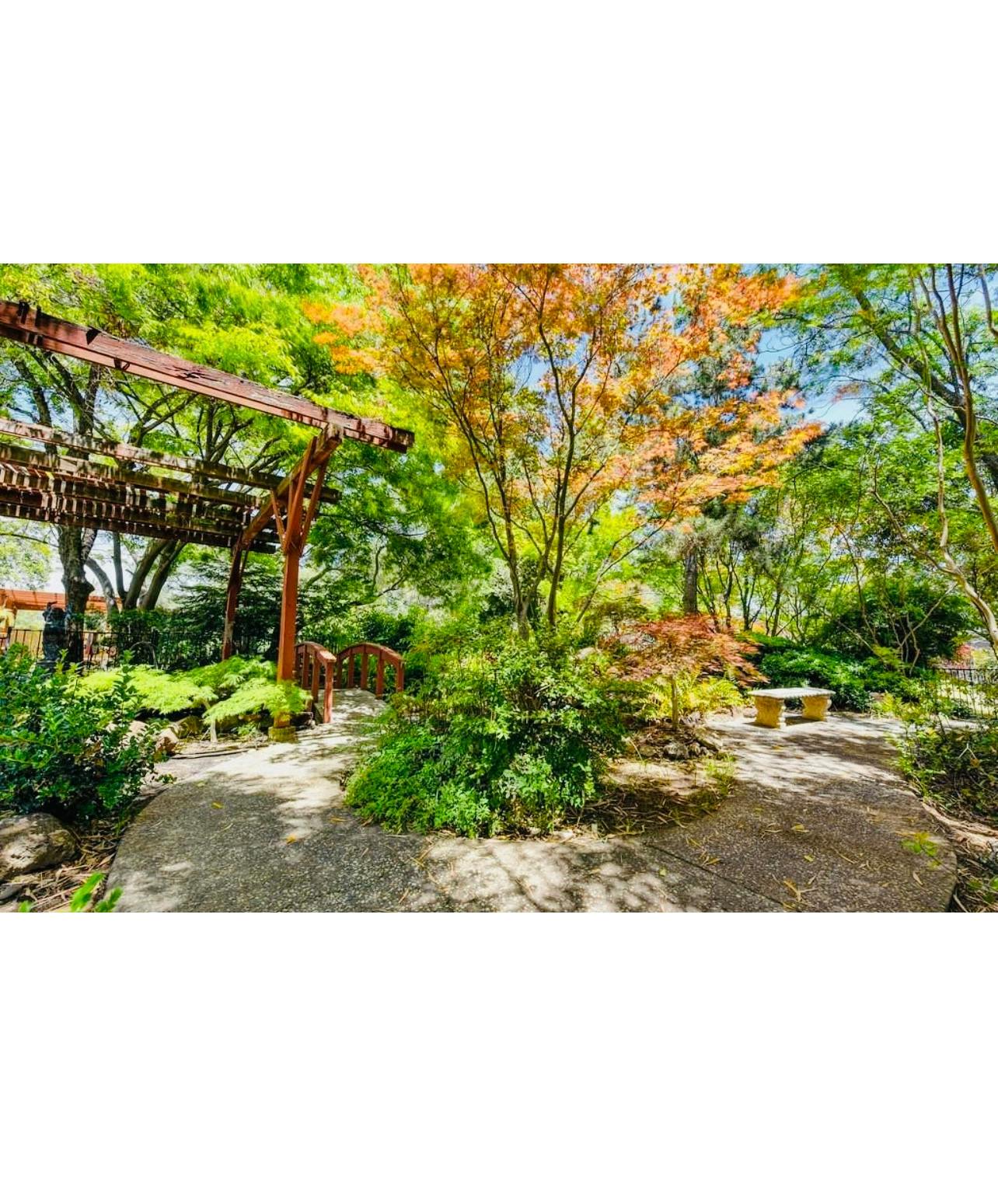Listing photo-4