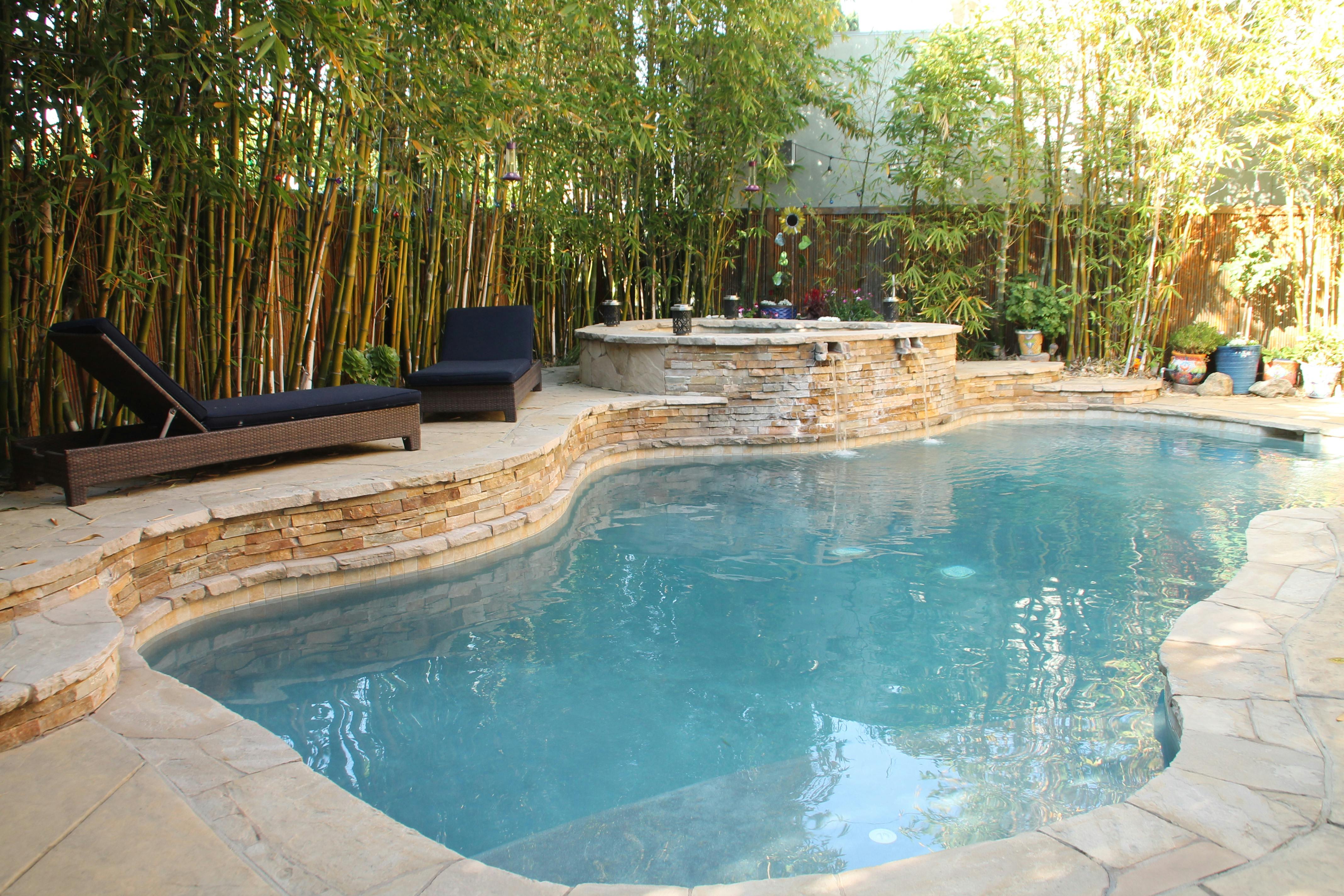 Culver City Colorful Oasis - Private Pool in Los Angeles - Swimply