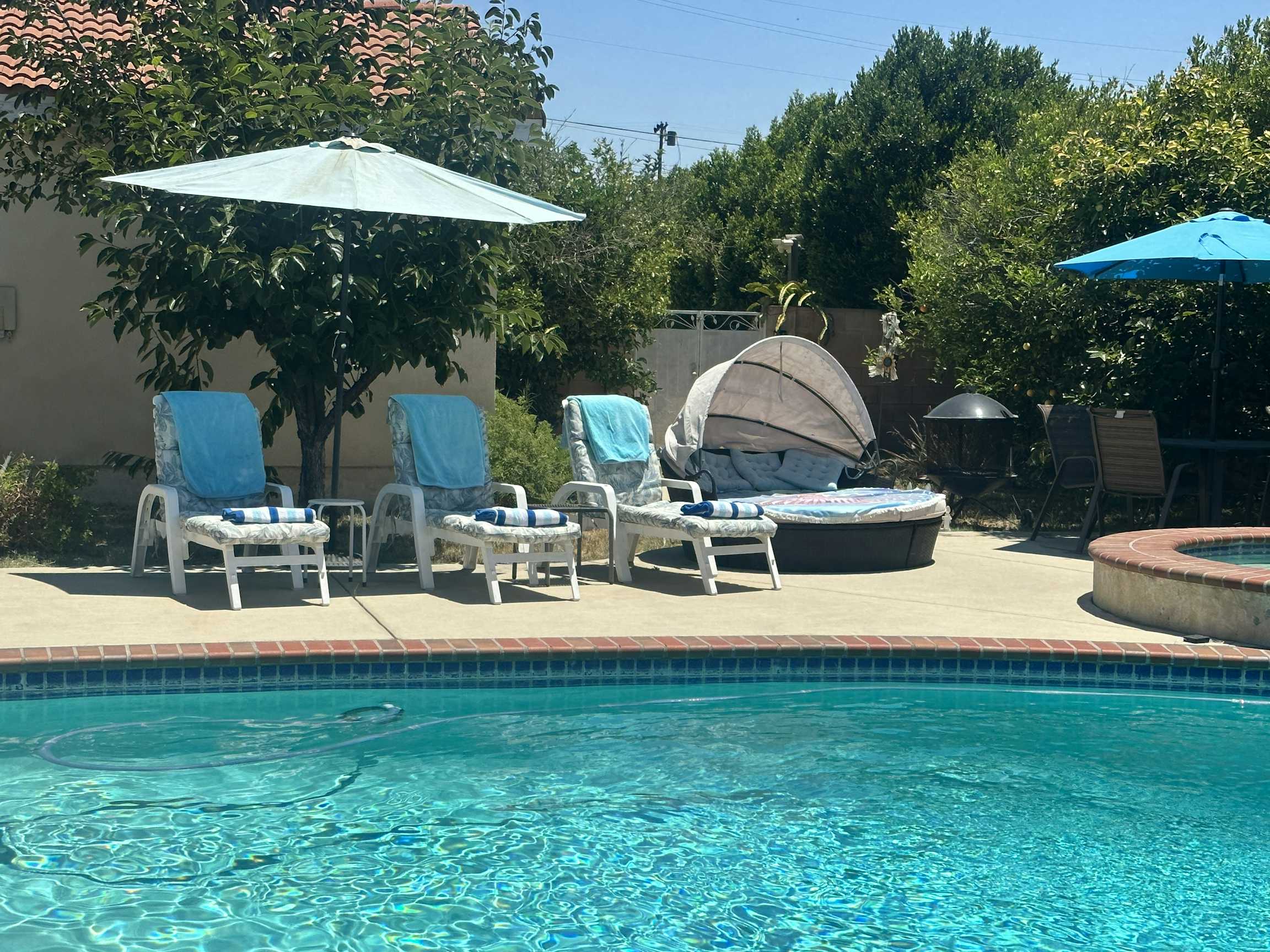 Listing photo-5