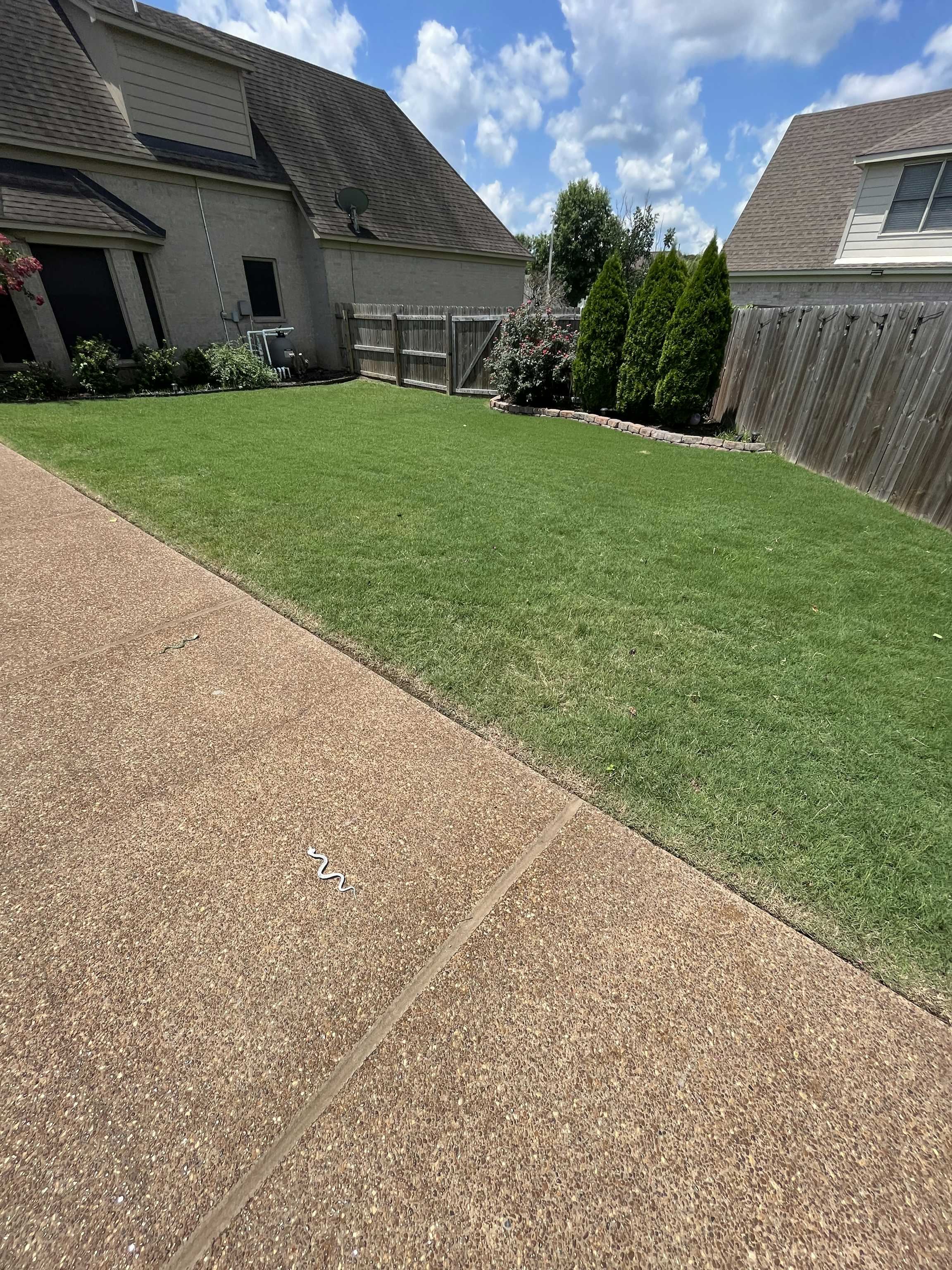 Listing photo-3
