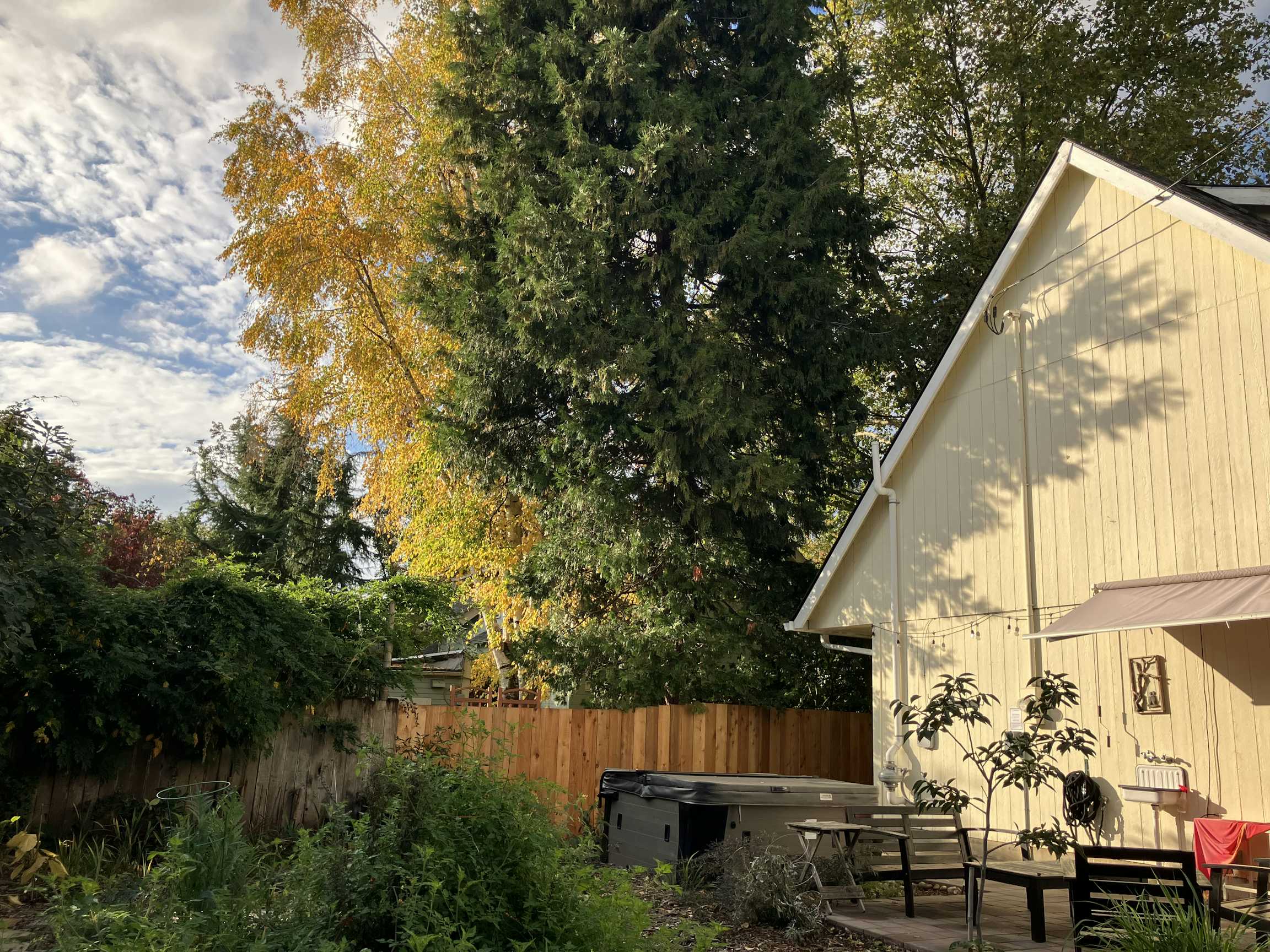 Listing photo-5