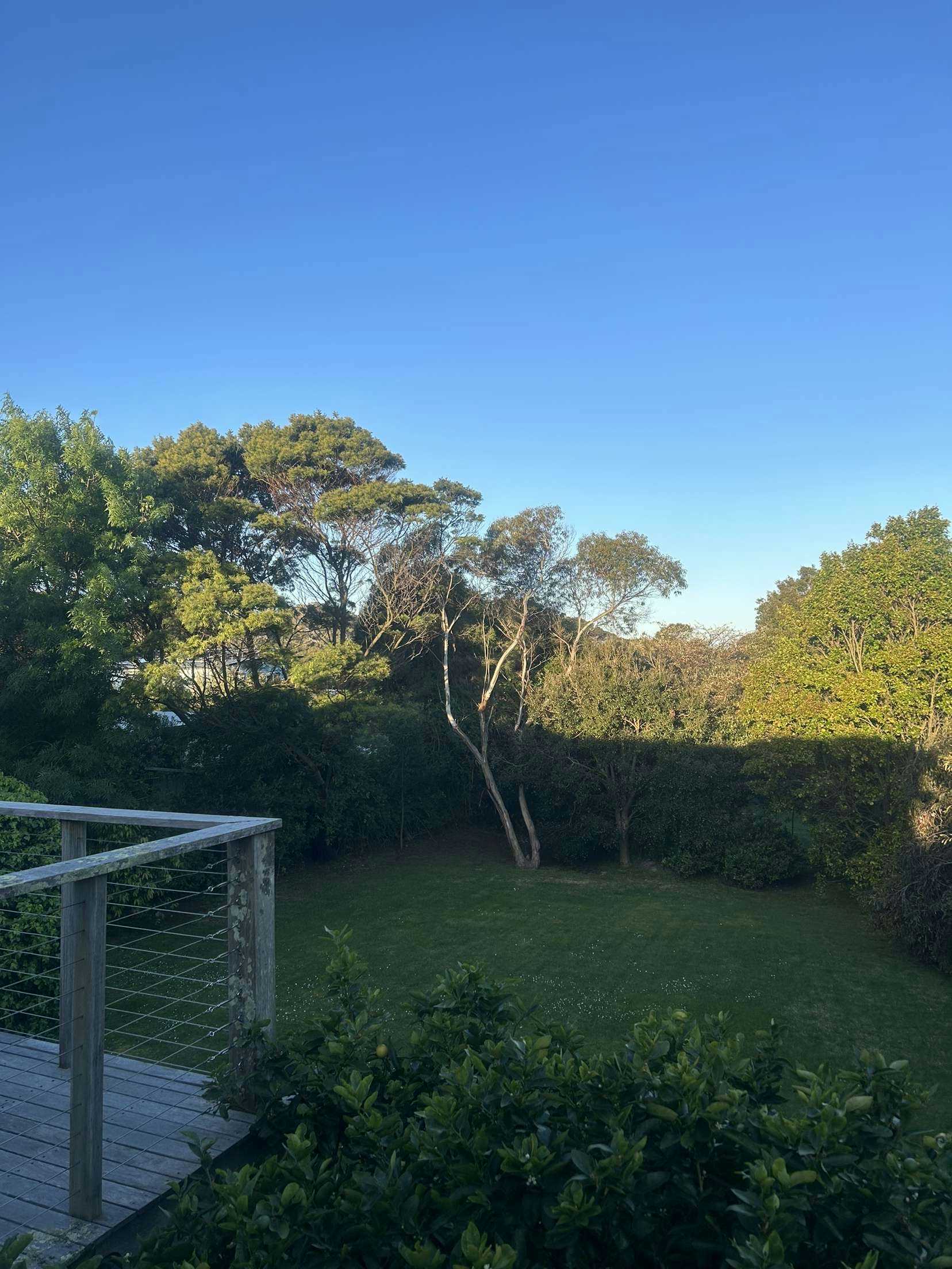 Listing photo-2