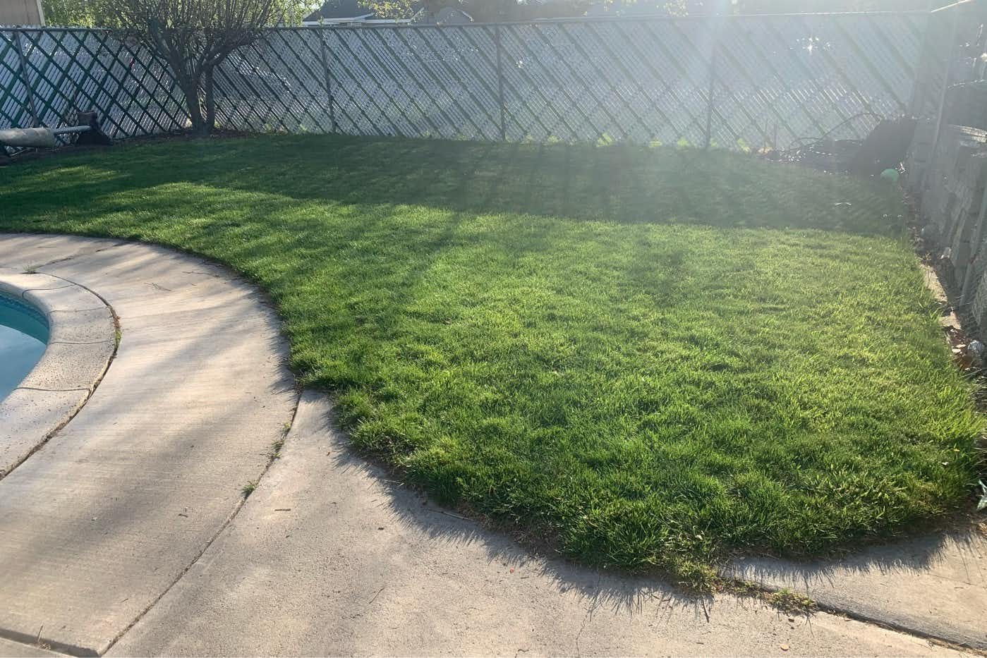 Listing photo-3